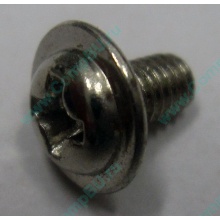 Компьютерный винт "малый" PW-M3x6mm (Зеленоград)