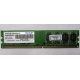 Модуль оперативной памяти 4Gb DDR2 Patriot PSD24G8002 pc-6400 (800MHz)  (Зеленоград)