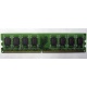 Модуль оперативной памяти 4096Mb DDR2 Patriot PSD24G8002 pc-6400 (800MHz)  (Зеленоград)