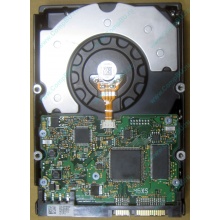 HDD Sun 500G 500Gb в Зеленограде, FRU 540-7889-01 в Зеленограде, BASE 390-0383-04 в Зеленограде, AssyID 0069FMT-1010 в Зеленограде, HUA7250SBSUN500G (Зеленоград)