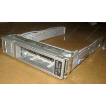 Салазки Sun 350-1386-04 в Зеленограде, 330-5120-04 1 для HDD (Зеленоград)