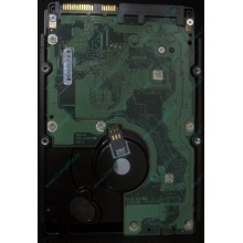 HP 454228-001 146Gb 15k SAS HDD (Зеленоград)