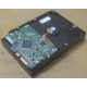 Жесткий диск HP 250Gb 7200 rpm 432337-001/ 399699-001 / 397377-004 (Зеленоград)