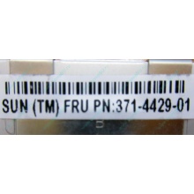 Серверная память SUN (FRU PN 371-4429-01) 4096Mb (4Gb) DDR3 ECC в Зеленограде, память для сервера SUN FRU P/N 371-4429-01 (Зеленоград)