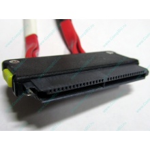 SATA-кабель для корзины HDD HP 451782-001 459190-001 для HP ML310 G5 (Зеленоград)
