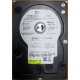 Б/У жёсткий диск 400Gb WD WD4000YR Caviar RE2 7200 rpm SATA  (Зеленоград)