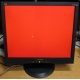 Монитор 19" ViewSonic VA903b (1280x1024) есть битые пиксели (Зеленоград)