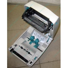 Термопринтер Zebra TLP 2844 (без БП!) - Зеленоград