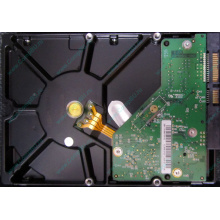 Б/У жёсткий диск 1Tb Western Digital WD10EVVS Green (WD AV-GP 1000 GB) 5400 rpm SATA (Зеленоград)