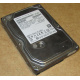 HDD 500Gb Hitachi HDS721050DLE630 донор на запчасти (Зеленоград)