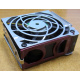 HP 224977 (224978-001) for Proliant ML370 G2/G3/G4 (Зеленоград).