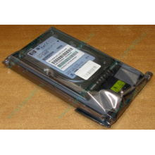 Жёсткий диск 146.8Gb HP 365695-008 404708-001 BD14689BB9 256716-B22 MAW3147NC 10000 rpm Ultra320 Wide SCSI купить в Зеленограде, цена (Зеленоград).