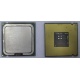 Процессор Intel Celeron D 336 (2.8GHz /256kb /533MHz) SL98W s.775 (Зеленоград)