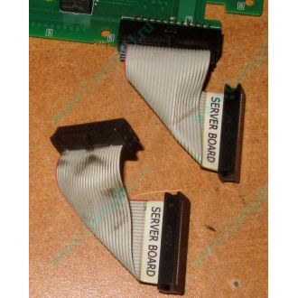 6017B0045701 Шлейф 24 pin для Intel C74974-401 T0043401-B01 корпуса SR2400 (Зеленоград)