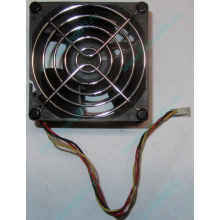 Вентилятор EFB0812HHE IBM 59P23B1 FRU 59P2572 (Зеленоград)