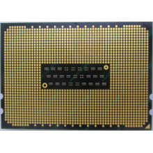 AMD Opteron 6128 OS6128WKT8EGO (Зеленоград)