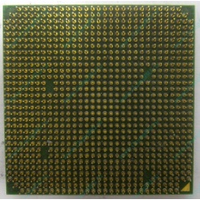 Процессор AMD Sempron 3000+ (1.6GHz) SDA3000IAA3CN s.AM2 (Зеленоград)